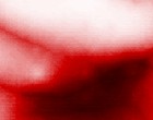bunte feder