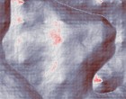 vier feder site www.dvdothek.com