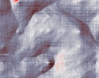 irene feder