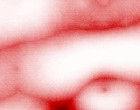 vier feder site www.dvdothek.com