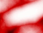 federn test