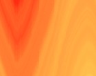 vier feder site www.dvdothek.com