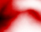 feder huelse