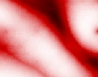 feder m