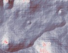 eberle feder