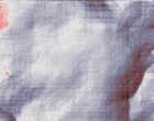 stossdaempfer e39