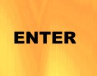 stossdaempfer test