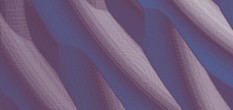 federn gmbh